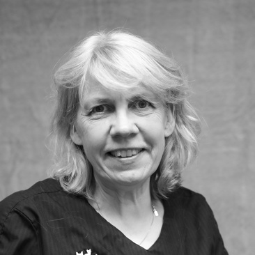 Anna Sandin