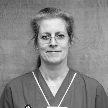 Gill Rosenwall