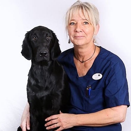 Foto av Pia, Receptionist