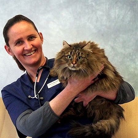 Foto av Sofie, Leg. Veterinär Med Specialistkompetens