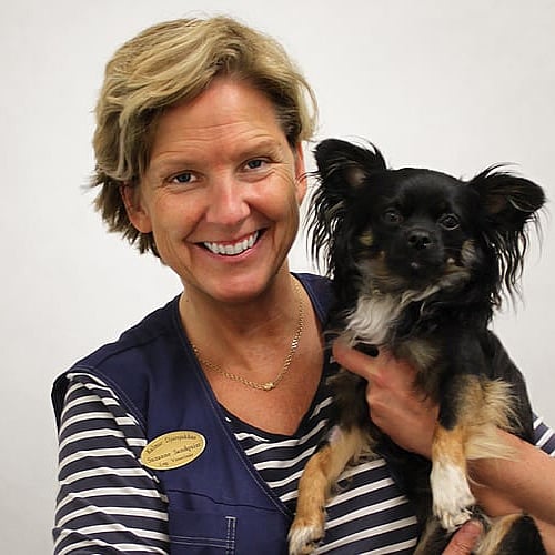Foto av Suzanne, Leg. Veterinär Med Specialistkompetens