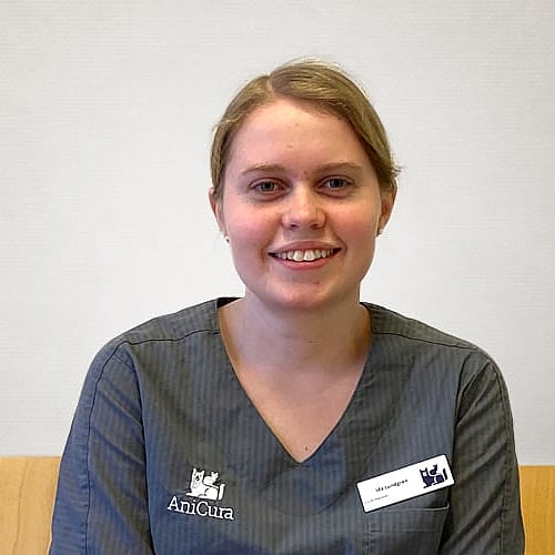 Foto av Ida, Djurvårdare