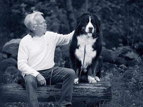 En äldre man sitter på en stock med sin stora Berner sennenhund ute i naturen. Mannen klappar på hunden. Bilden är i svartvitt.