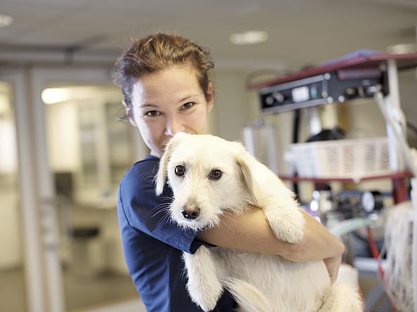 En kvinna iklädd veterinärkläder håller i en vit hund och ler mot kameran.