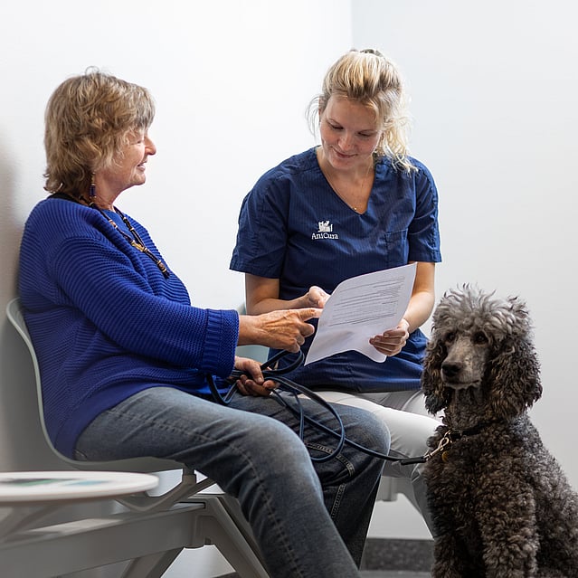 En veterinär går igenom några dokument med en hundägare som håller i sin stora pudel.