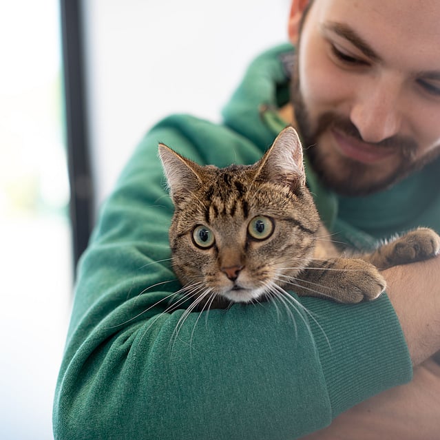 En man i grön hoodie håller i en katt.