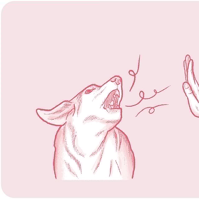 Röd teckning på en hunds huvud med öppen mun, streck som kommer ur dens mun och en hand som säger stopp.