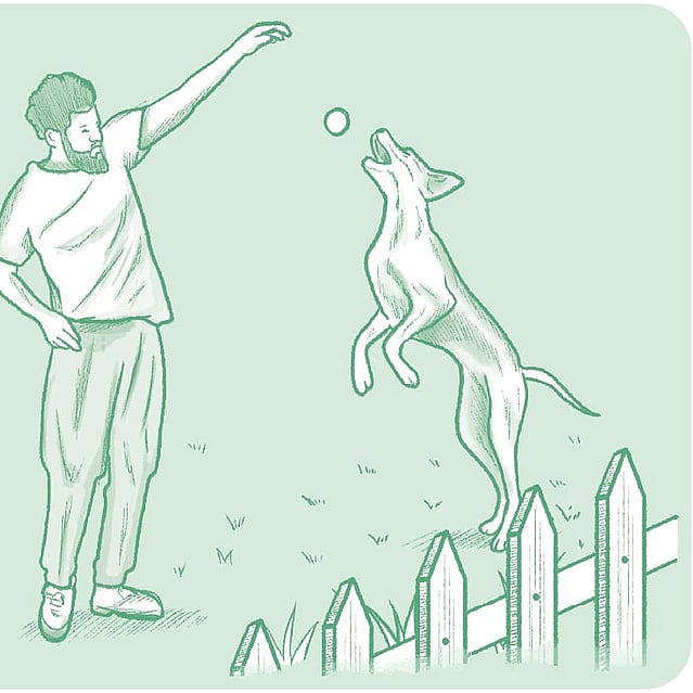Teckning på en man och en hund som leker utomhus. Mannen kastar en boll och hunden hoppar upp mot bollen. Teckningens bakrund är grön.