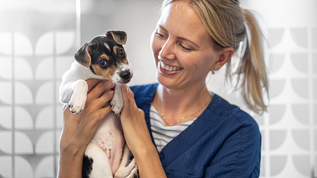 Kvinnlig veterinär håller i en liten hund och ler.