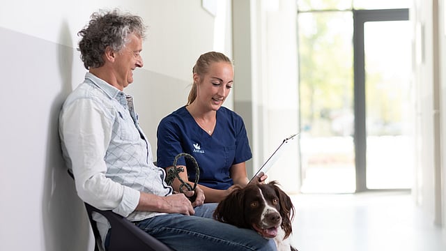 Manlig hundägare sitter i väntrummet och diskuterar med en kvinnlig veterinär. Framför dem sitter en hund.