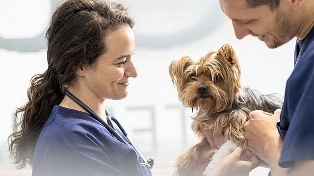 En person och en person som håller en hund.