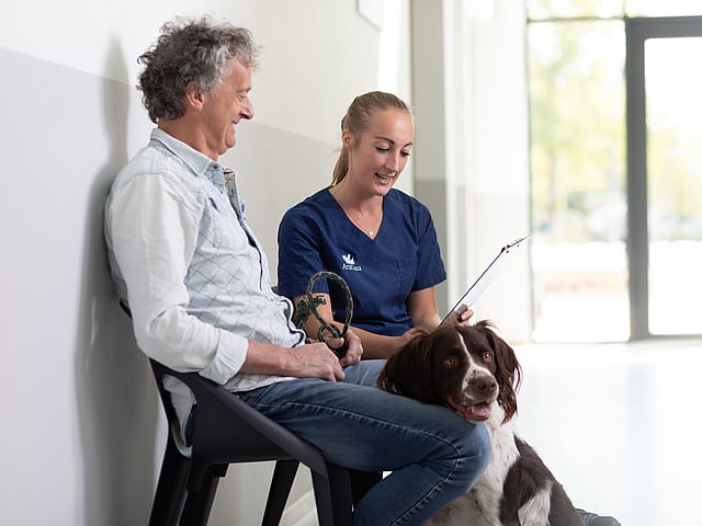 Manlig hundägare sitter i väntrummet och diskuterar med en kvinnlig veterinär. Framför dem sitter en hund.