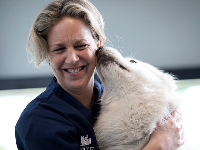 Vit hund slickar på en kvinnlig veterinär. Veterinären kramar om hunden och ler.