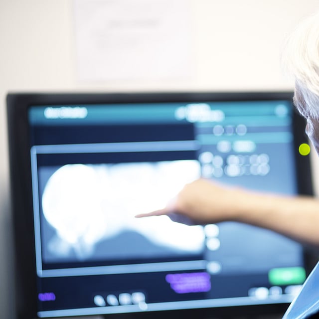 Veterinär kollar på en datorskärm.