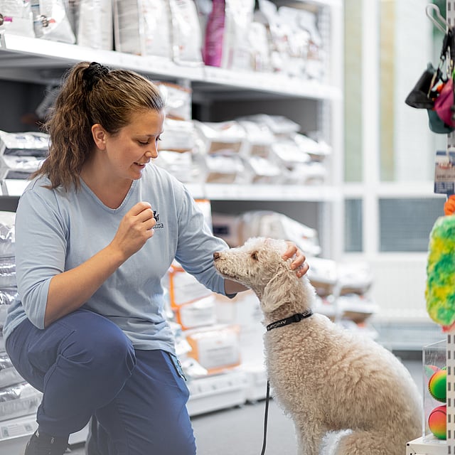 Kvinna klappar på en vit hund. Kvinnan och hunden står i en butik bland hundfoder och hundleksaker.
