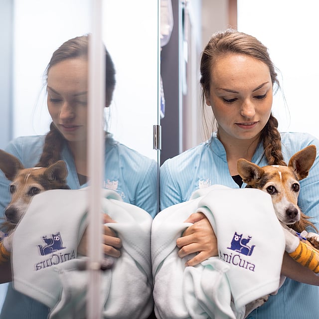 Veterinär håller om en hund som är inlindad i en vit filt.