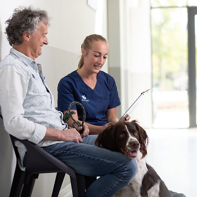 En man och en kvinna sitter och pratar. Framför dem sitter en hund på golvet.
