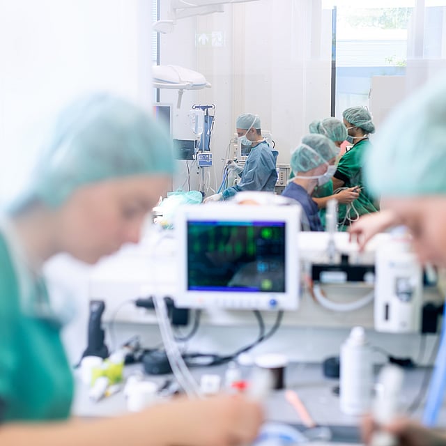 Operationsrummet på AniCura Regiondjursjukhuset Bagarmossen där flera veterinärer jobbar.