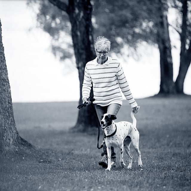 En person som går ut med en hund.