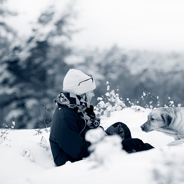 En hund och en person leker utomhus i snön.