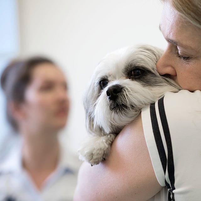 En blond kvinna håller och pussar på sin lilla ljusa hund.