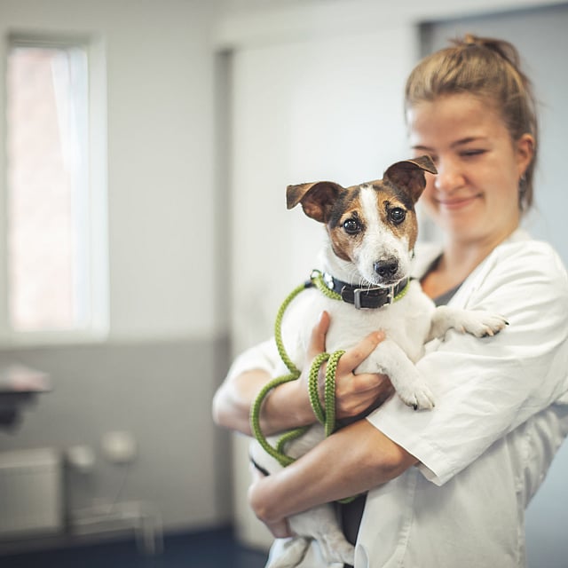 Kvinna i vit tröja håller om en hund som tittar in i kameran.