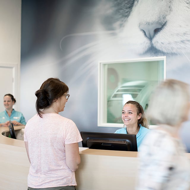 Fem kvinnor står runt AniCuras reception; två veterinärer står längst bak, en kvinna står bakom bordet och ler mot en besökare och en femte går bara förbi.