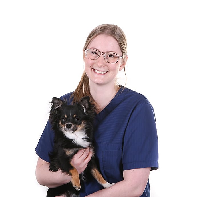 Foto av Linda, Leg. Veterinär