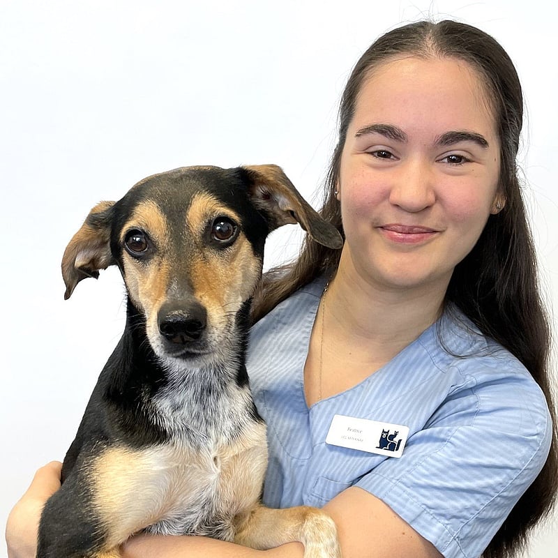 Foto av Beatrice, Leg. Veterinär