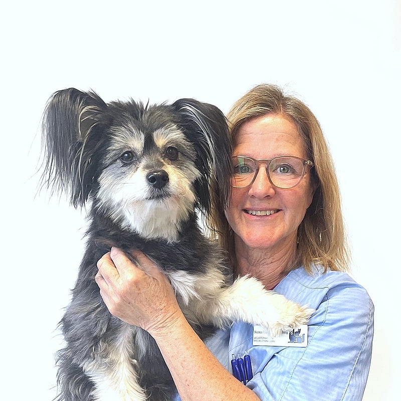 Foto av Nanna, Leg. Veterinär