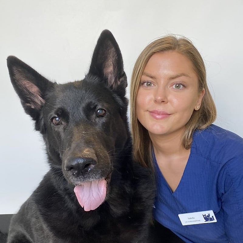 Foto av Isabella, Leg. Djursjukskötare
