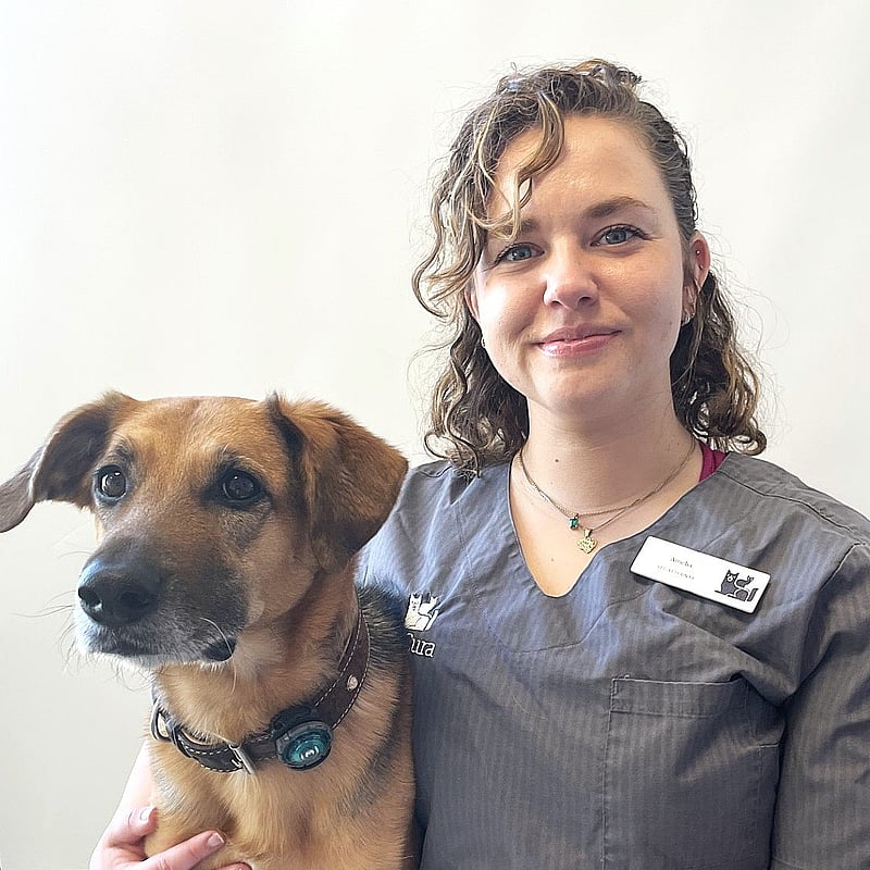 Foto av Amelia, Leg. Veterinär