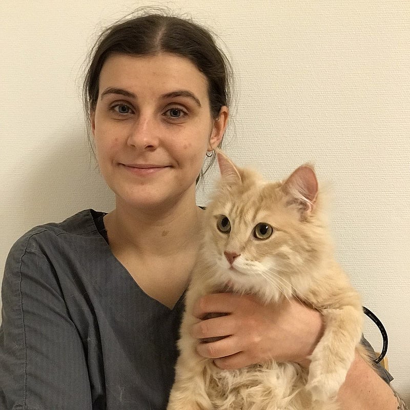 Foto av Axelina, Leg. Djursjukskötare