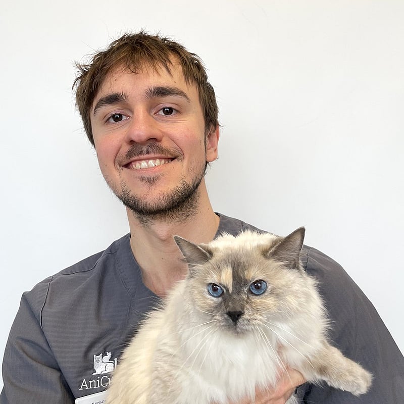 Foto av Krzystof, Leg. Veterinär