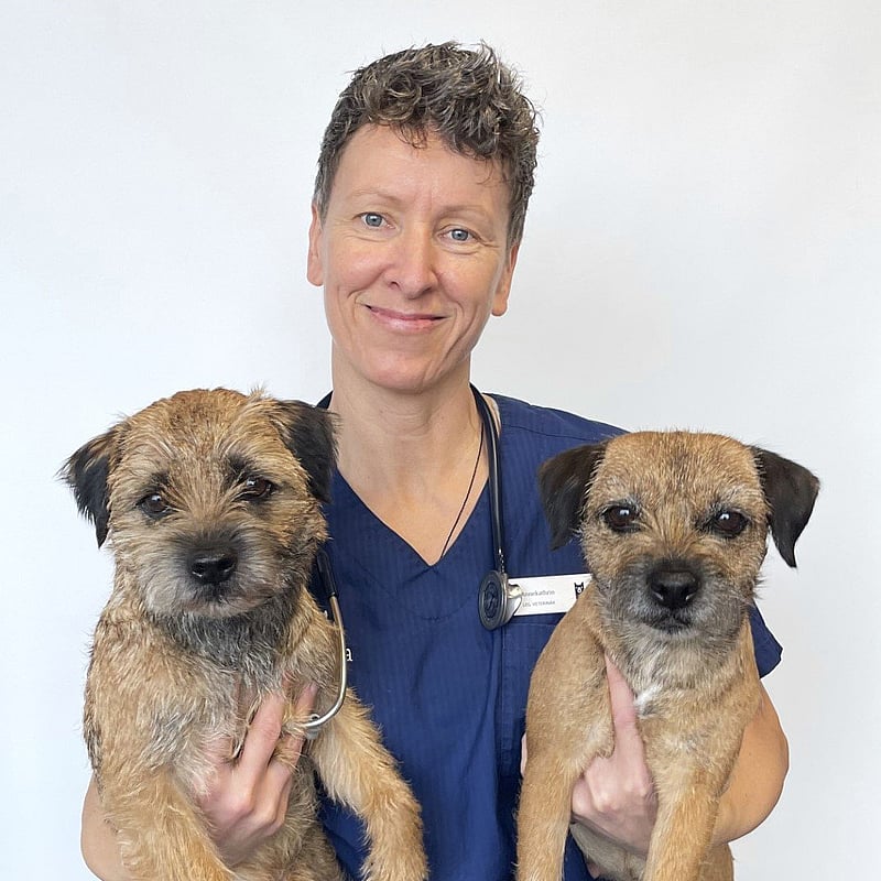 Foto av AnneKathrin, Leg. Veterinär