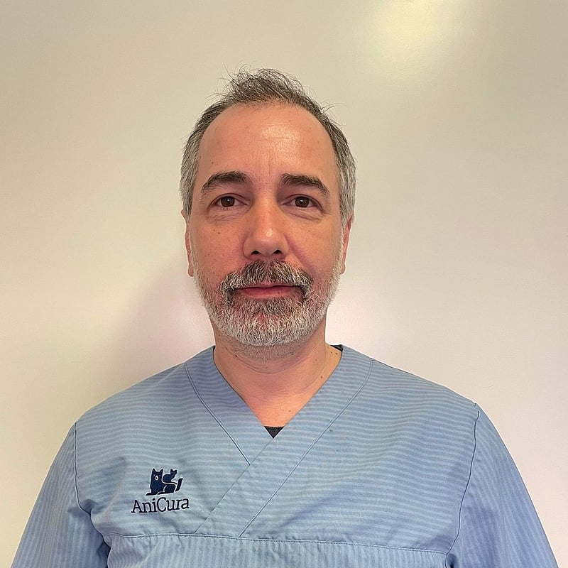 Gabriel, legitimerad veterinär.