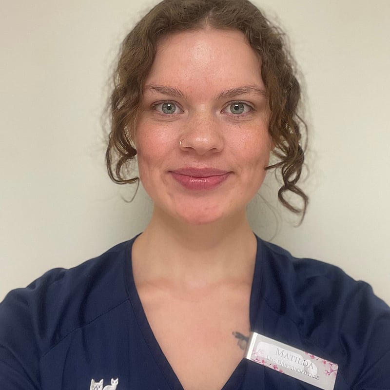 Foto av Matilda Grantz, Legitimerad Djursjukskötare