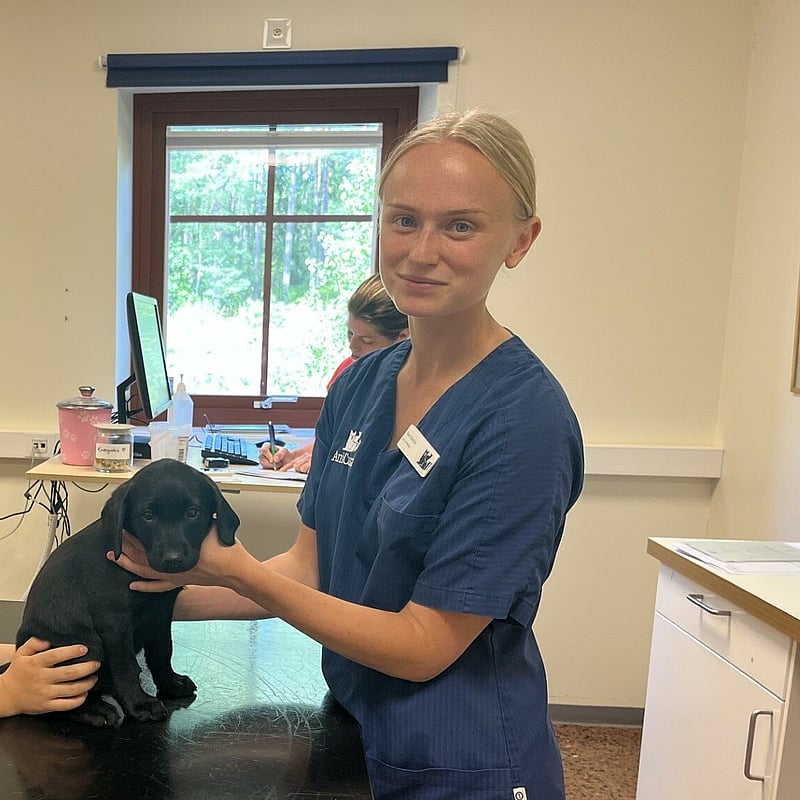 Foto av Clara Fabricius, Legitimerad Veterinär