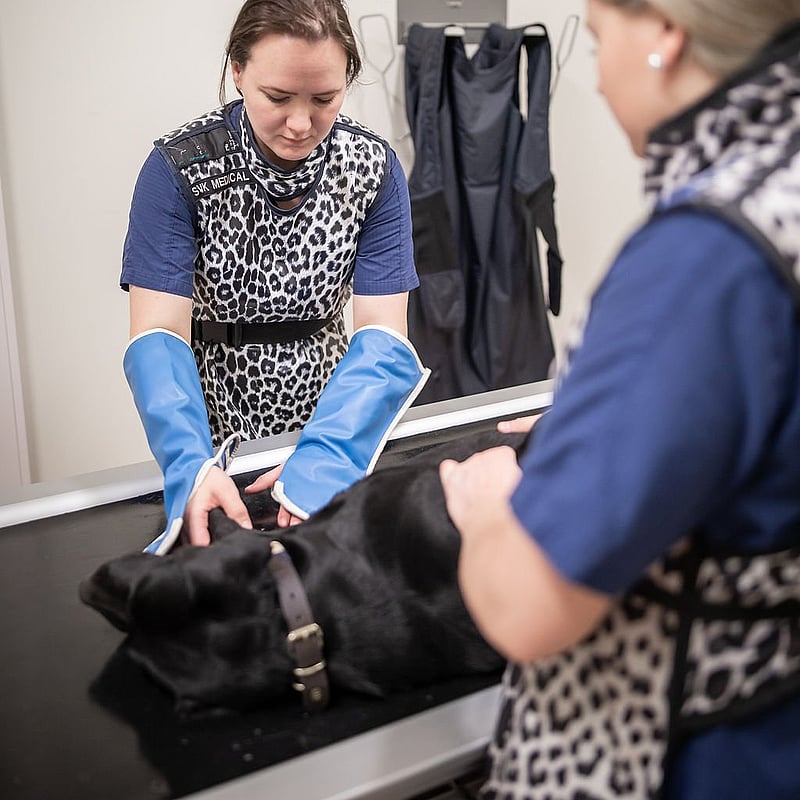 Foto av Anna-Sofia Kroon, Djurvårdare nivå III