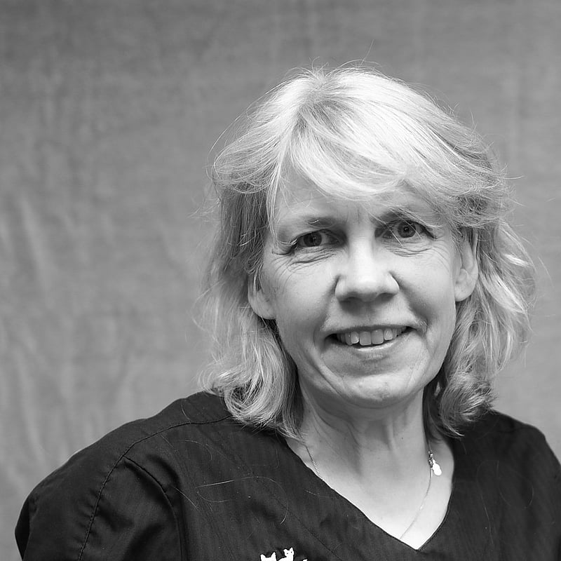 Foto av Anna, Leg. Biomedicinsk analytiker