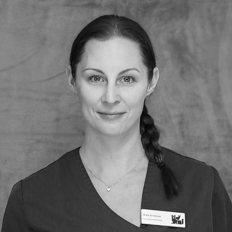 Foto av Nickie, Leg. Djursjukskötare