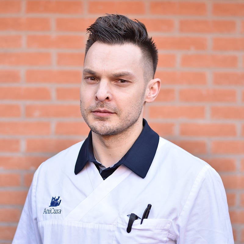 Foto av Rafal Wojciechowski, Leg. Veterinär