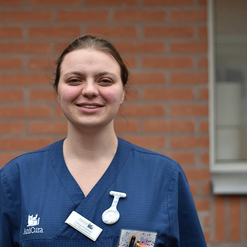 Foto av Felicia Nordstedt, Legitimerad Djursjukskötare