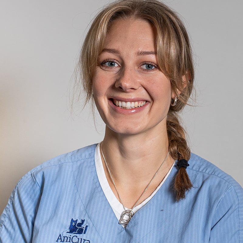 Foto av Klara Hofvendahl, Leg. Djursjukskötare