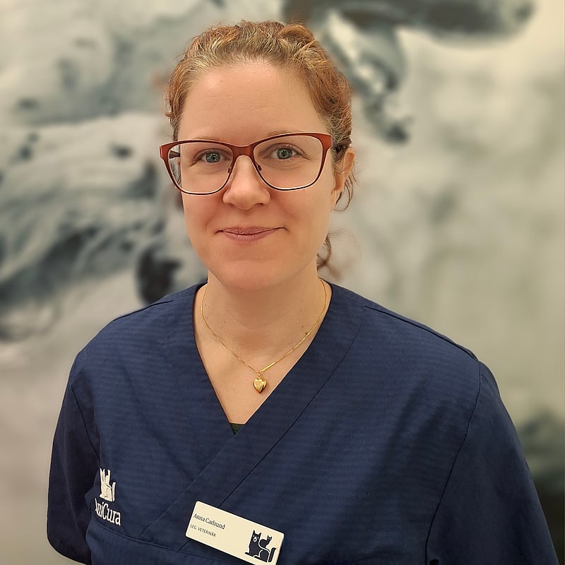 Foto av Anna C, Leg. Veterinär