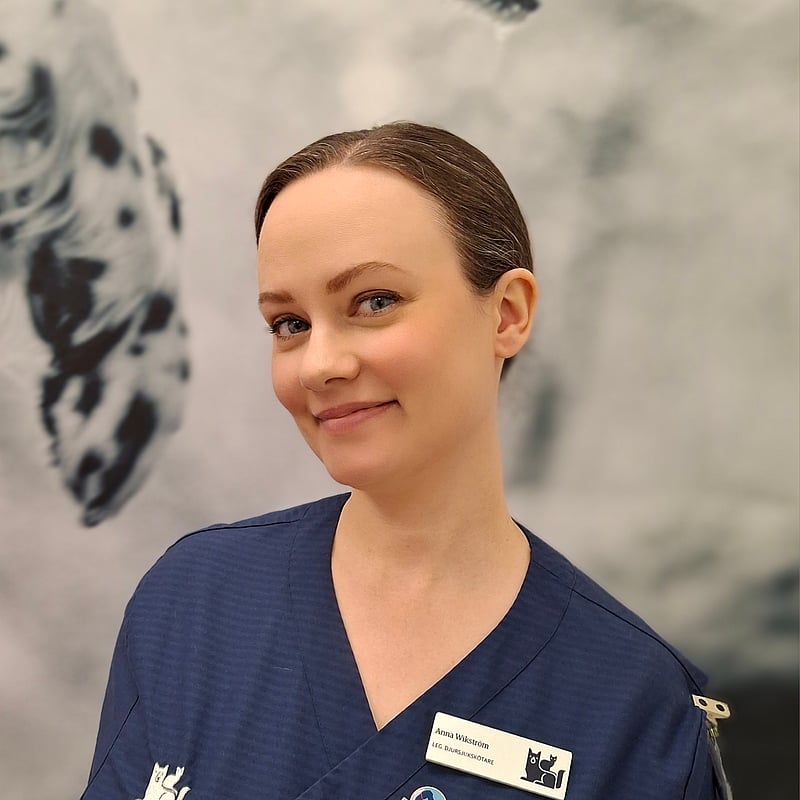Foto av Anna W, Leg. Djursjukskötare