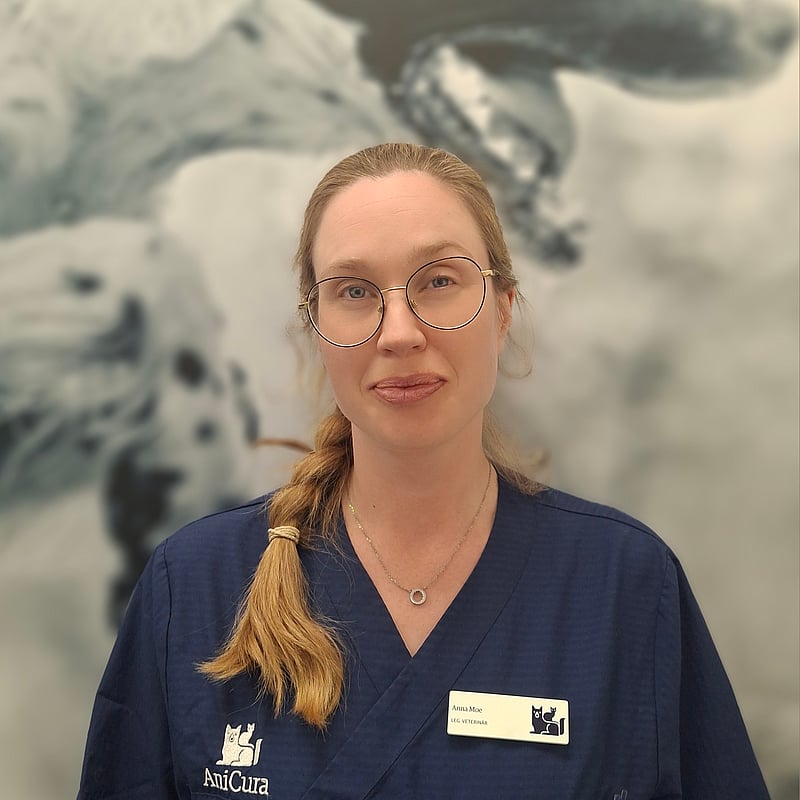 Foto av Anna M, Leg. Veterinär