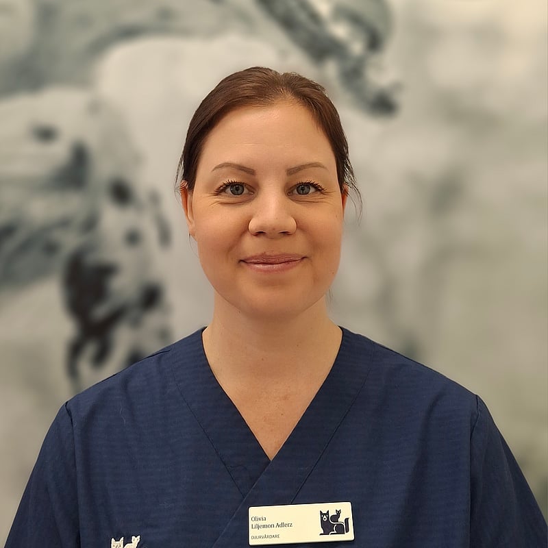 Foto av Olivia A L, Djurvårdare nivå III