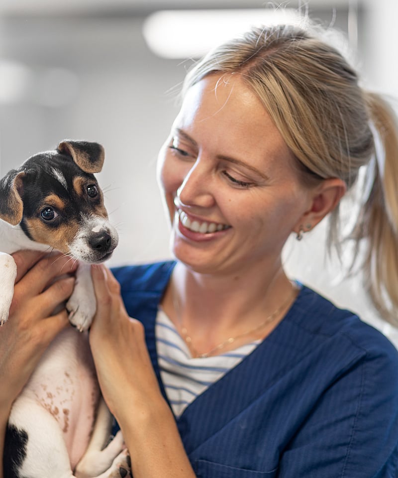Kvinnlig veterinär håller i en liten hund och ler.