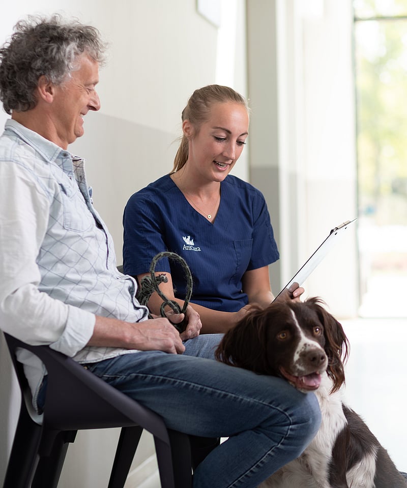 Manlig hundägare sitter i väntrummet och diskuterar med en kvinnlig veterinär. Framför dem sitter en hund.